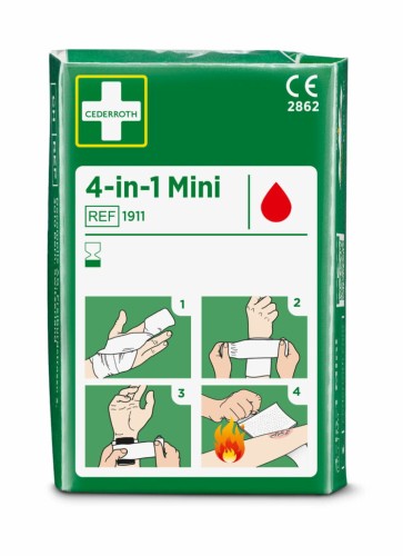 ce1.jpg