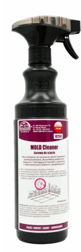 mold.png