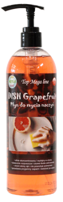 MEGA DISH.jpg