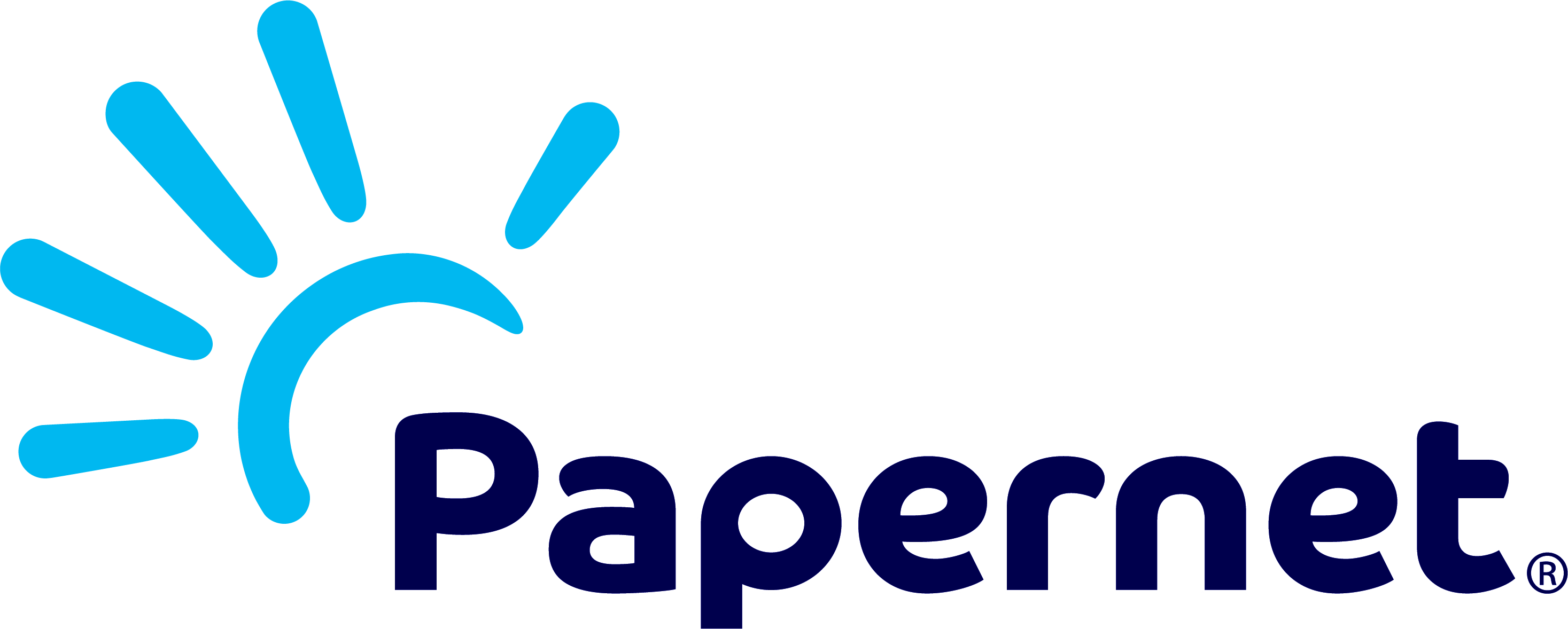Producent: Sofidel Papernet (przejdź do produktów)